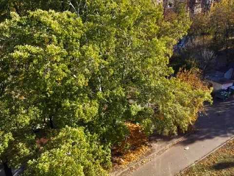 квартира по адресу Елены Телиги ул., 5-А