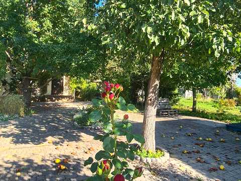 дом по адресу Мічуріна