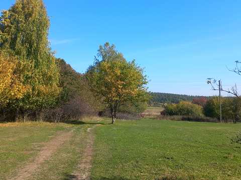 будинок за адресою с. Лубське, Лубська