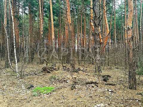 участок по адресу 1-ша Дачна вулиця, 1