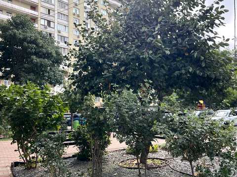 квартира за адресою Бреуса вул., 63/1