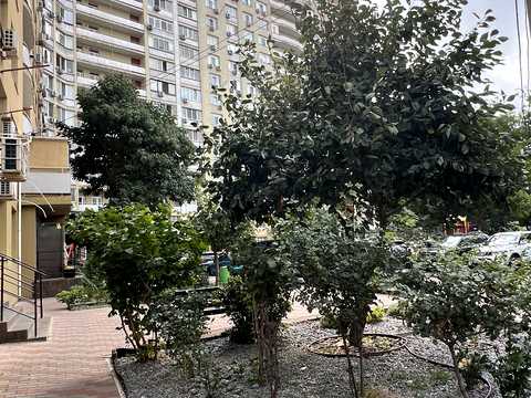 квартира за адресою Бреуса вул., 63/1