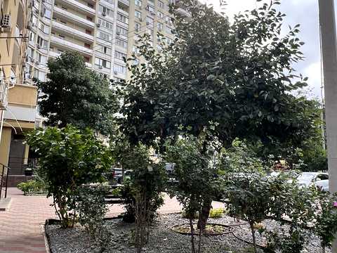 квартира за адресою Бреуса вул., 63/1
