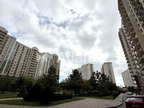 квартира за адресою Перлинна вул., 3