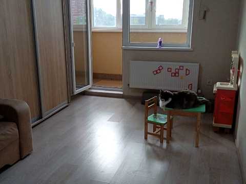 квартира по адресу Одесская ул., 45