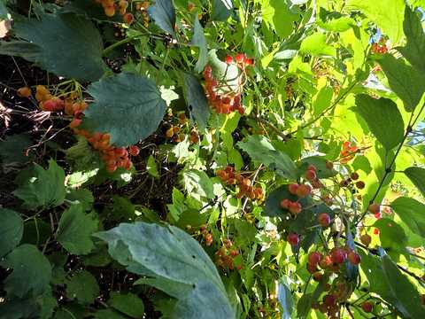 будинок за адресою Соборна вул. (Леніна)