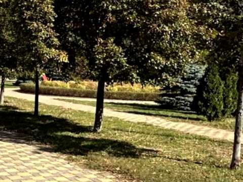 квартира за адресою Юрія Кондратюка вул., 7