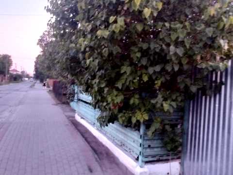 дом по адресу Богдана Хмельницкого ул., 56