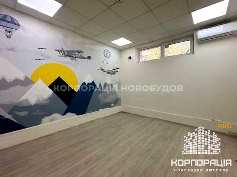комерційна за адресою Ужгород, Івана Франка вул., 1-В