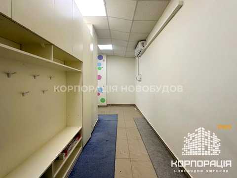 комерційна за адресою Ужгород, Івана Франка вул., 1-В