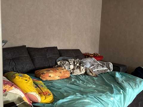 кімната за адресою Велика Діївська вул. (Братів Трофімових), 4