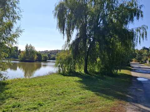 ділянка за адресою Київська, 53