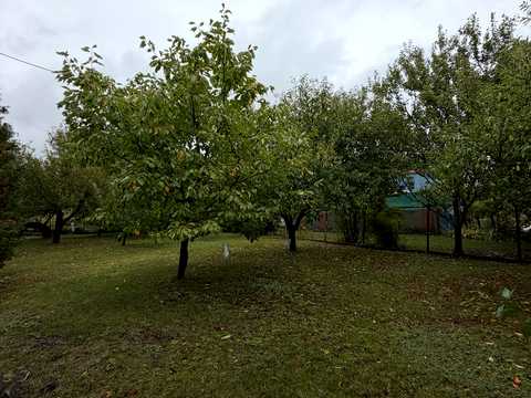 дом по адресу кооп Чайка