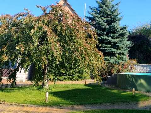 дом по адресу Вишнёвая ул.