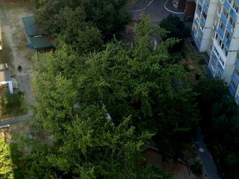 квартира по адресу Академика Глушкова просп., 45