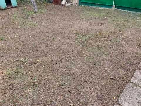 будинок за адресою с. Себине, Соборна