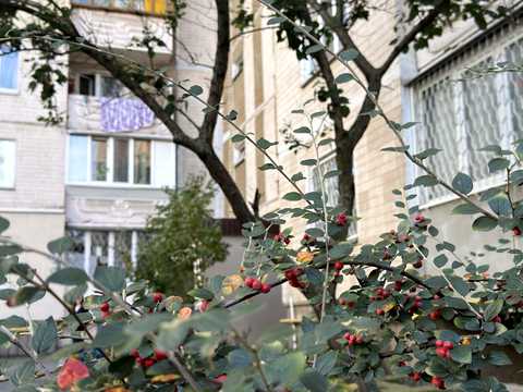 квартира за адресою Милославська вул., 35
