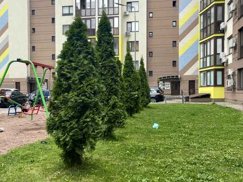 квартира за адресою Стеценка вул., 75-Р