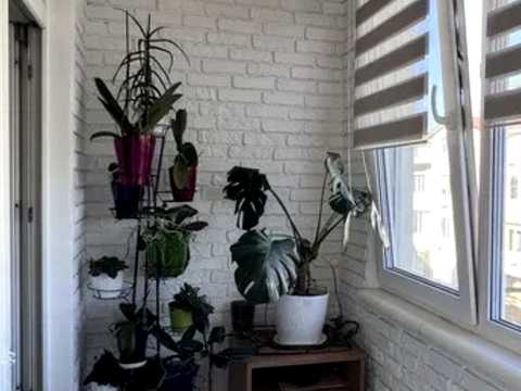 квартира за адресою Центральна вул., (Будинок 4)