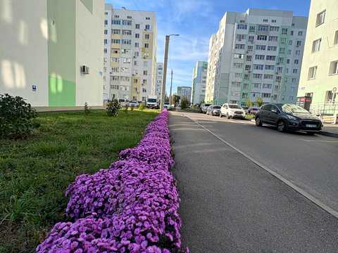 квартира за адресою Харків, Миру вул., 57