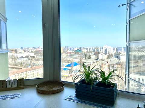 квартира за адресою Коломийський пров., 17/31а