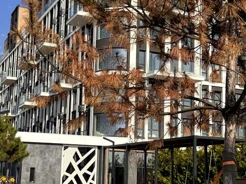квартира за адресою Петра Дорошенка вул., 42
