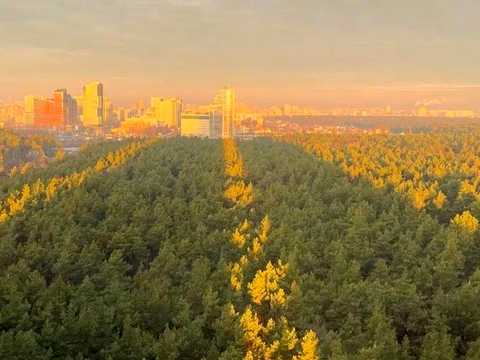 квартира за адресою Світла вул., 3-Д