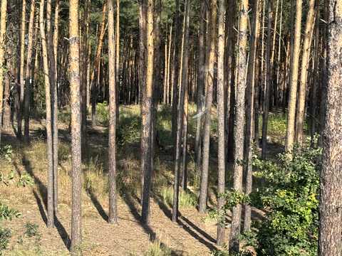 дом по адресу Василия Липковского ул.