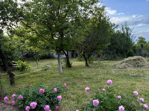 будинок за адресою смт. Королево, Урицького, 2