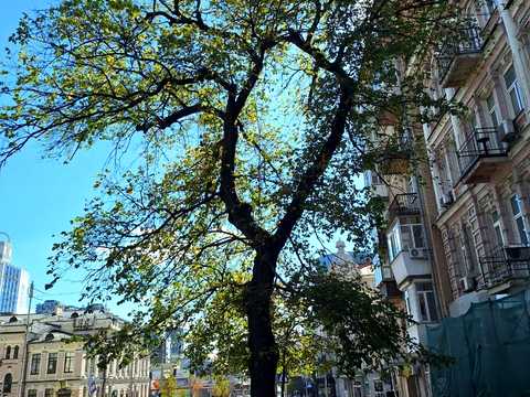 квартира по адресу Большая Васильковская ул. (Красноармейская), 58