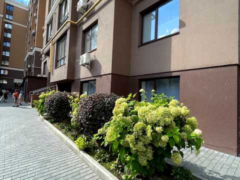 квартира за адресою с. Софіївська Борщагівка, Свободи вул., 5