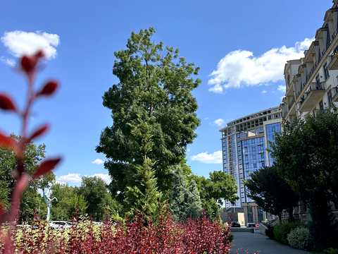 квартира за адресою Дружби Народів вул., 14