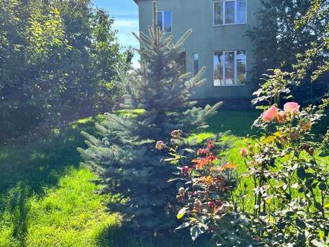 будинок за адресою СТ Виноградар