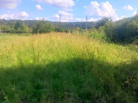 ділянка за адресою с. Невицьке, 