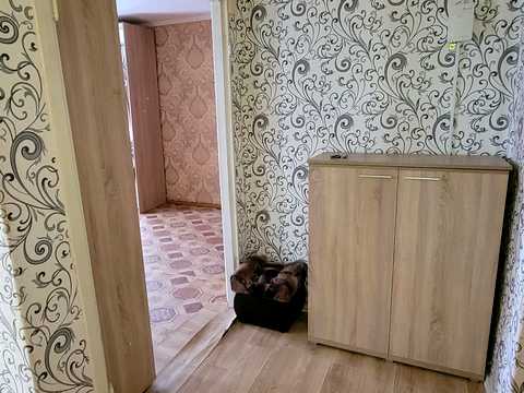 квартира по адресу Михайла Грушевського ул. (Котовського), 16