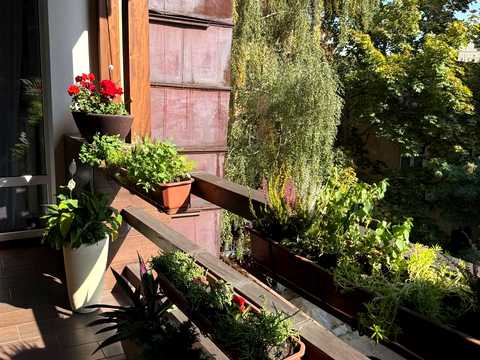 квартира по адресу академика Гнатюка ул. (Горького), 24