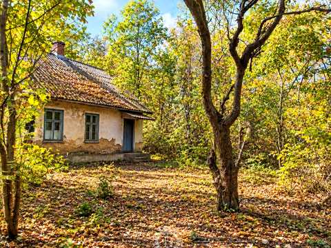 ділянка за адресою Шурухіна, 17