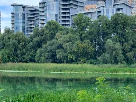квартира за адресою Раїси Окіпної вул., 18