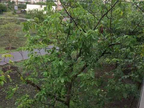квартира за адресою Північна вул. (Північна), 36