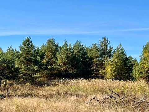 ділянка за адресою с. Калинівка, 