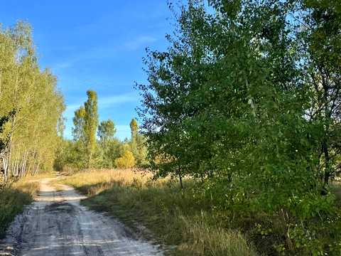 ділянка за адресою с. Калинівка, 