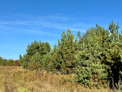 ділянка за адресою с. Калинівка, 