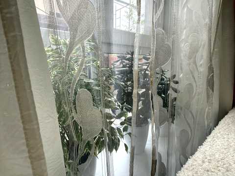 дом по адресу Вишнёвая ул., 16