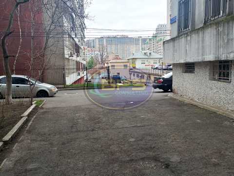 комерційна за адресою Світлий пров., 14