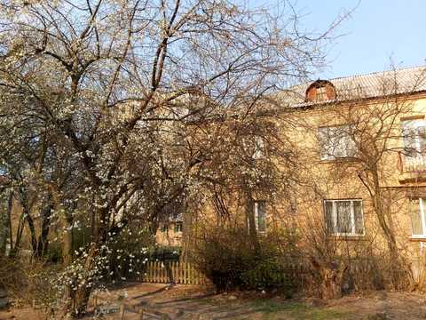 квартира за адресою Родини Глаголєвих вул. (Академіка Грекова), 5