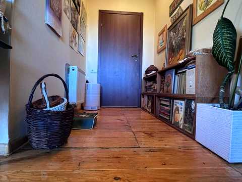 дом по адресу Подковы И. пер., 19