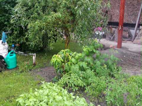ділянка за адресою Садова вул.