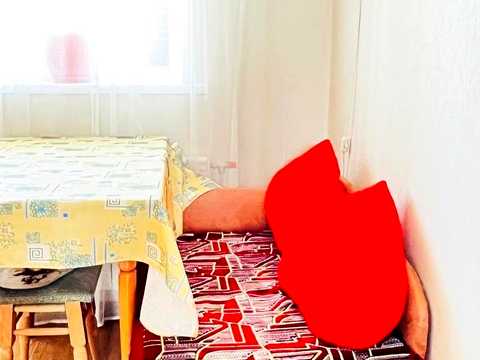 квартира по адресу Урловская ул., 23