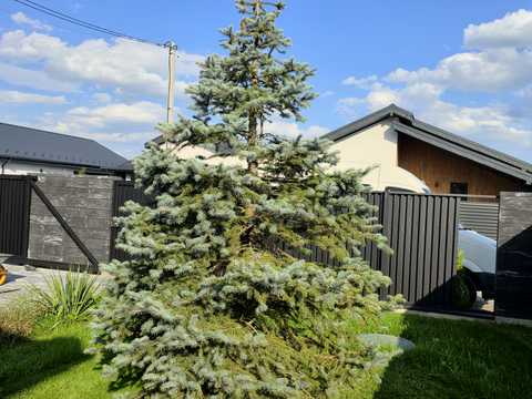 дом по адресу с. Бохоники, Нова Ювілейна вулиця