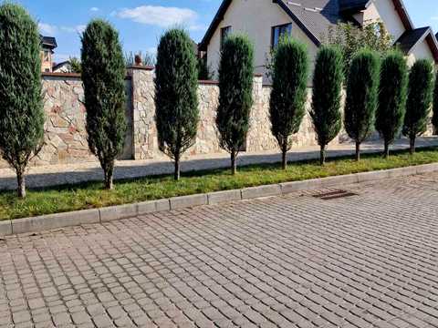 ділянка за адресою Полуботка